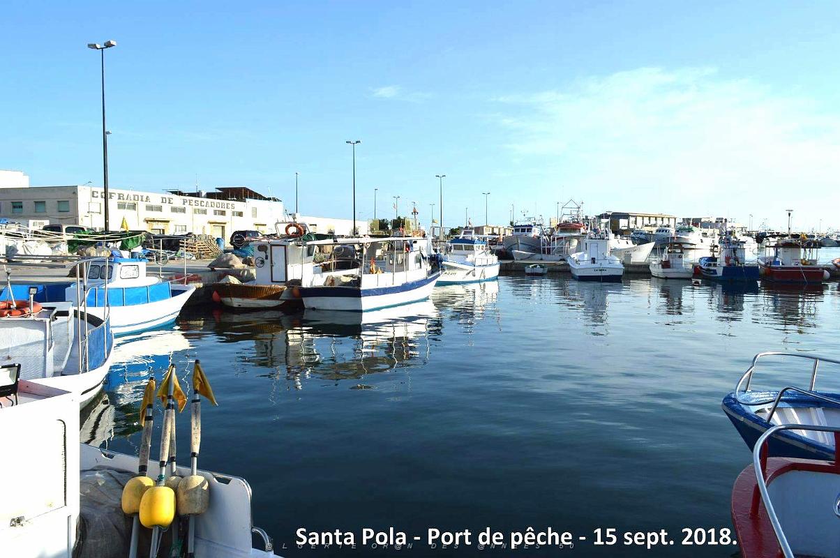 11 SANTA POLA PORT DE PECHE (18).JPG